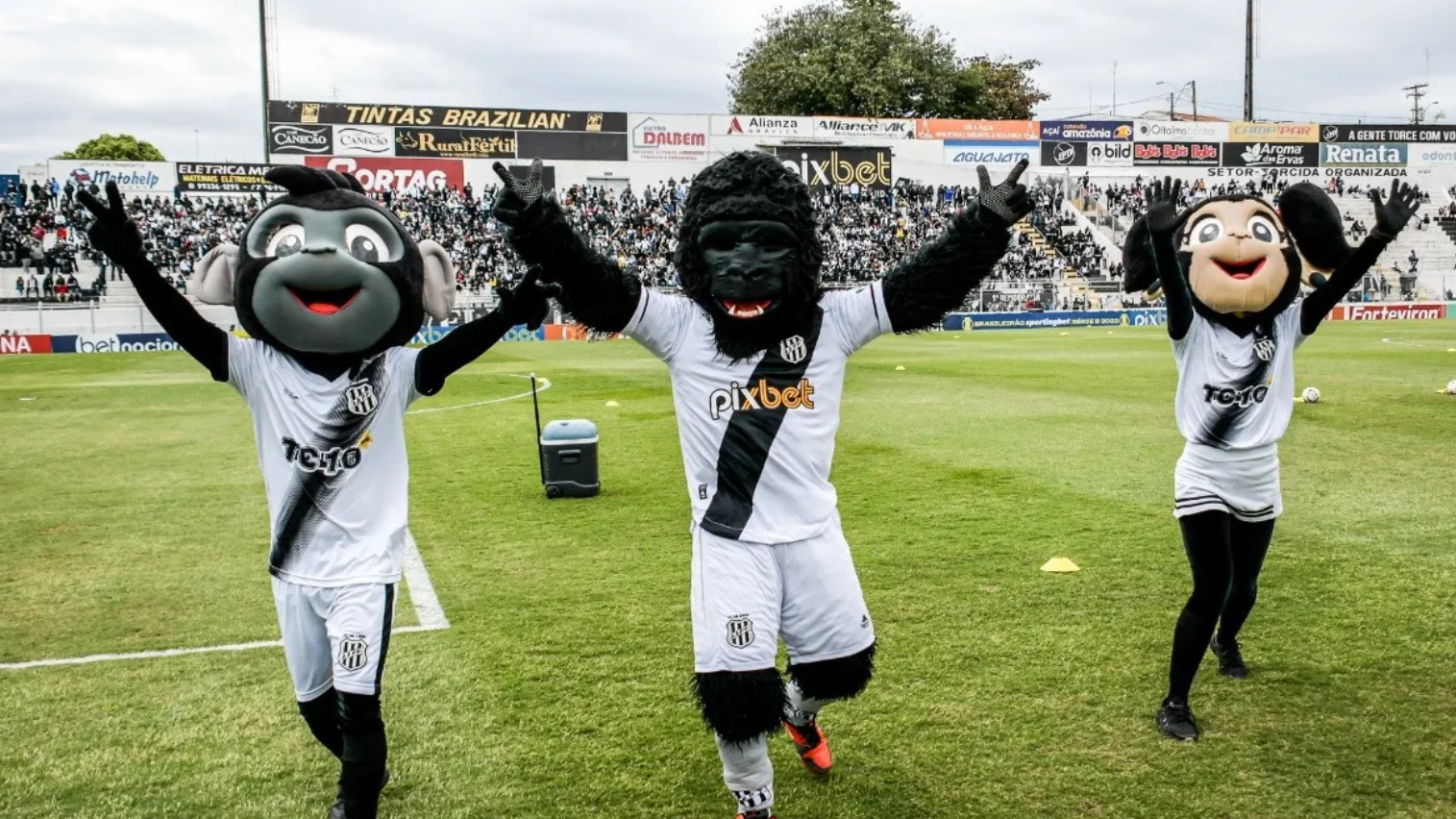 Ponte Preta recebeu condenação por não pagar o adicional noturno para jogadores de futebol